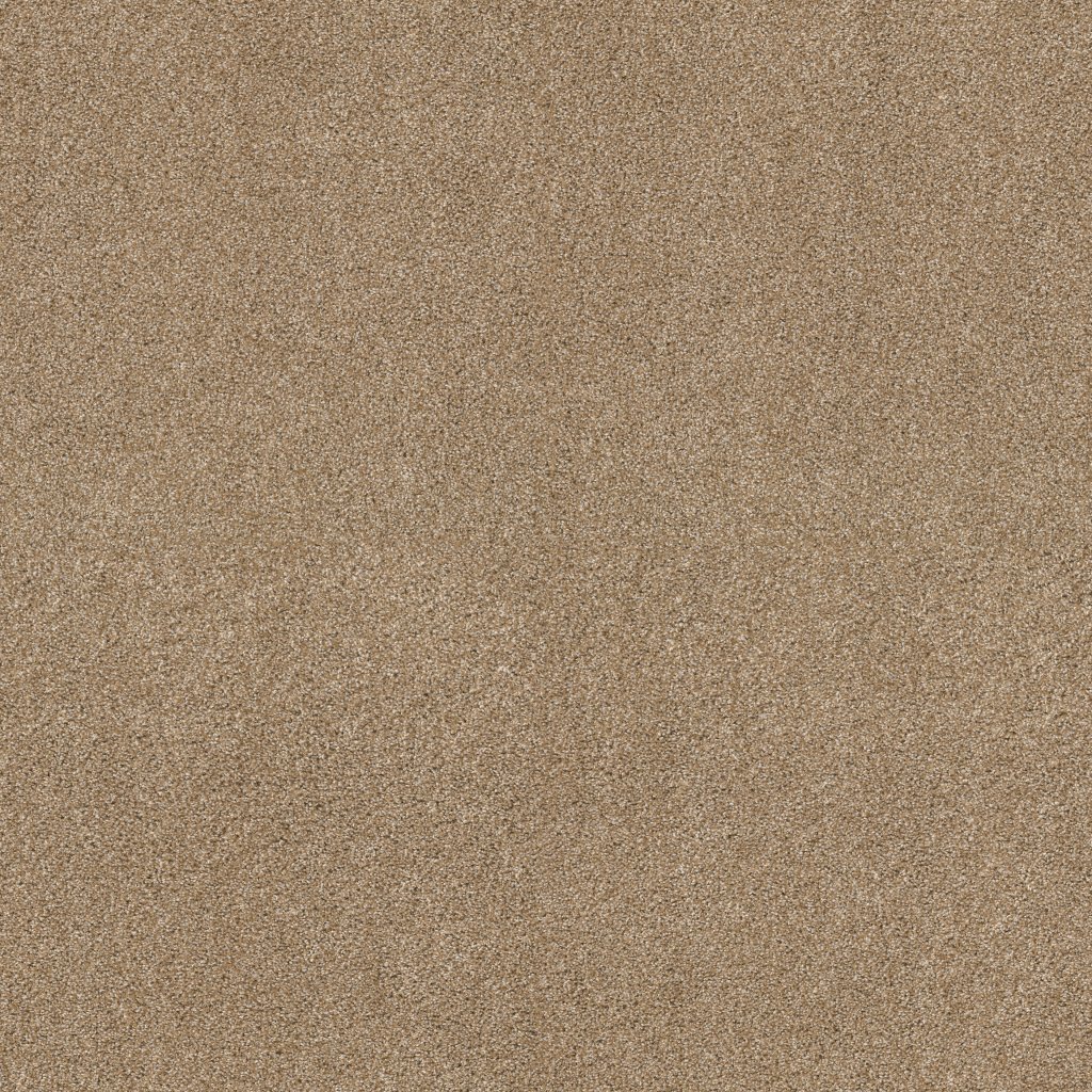 Shaw Floors Ocean View - Farro