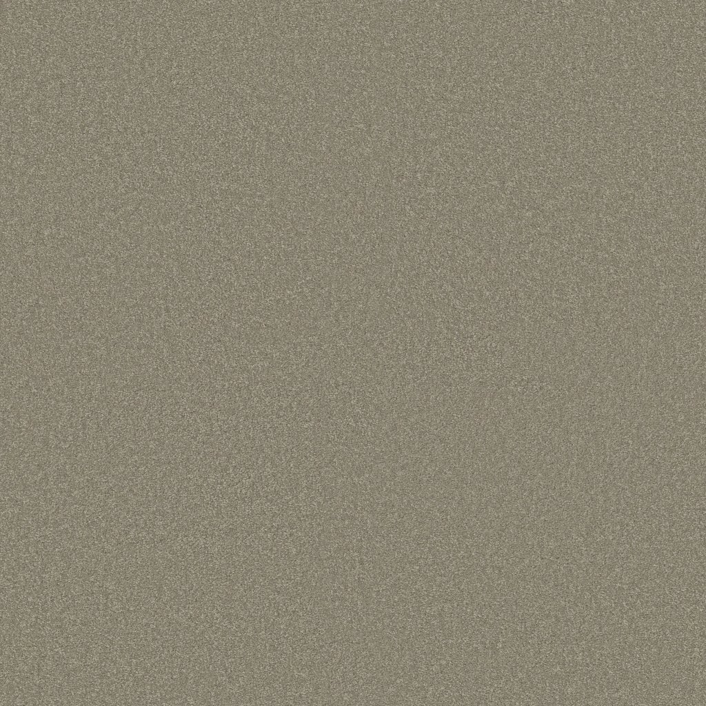 Shaw Floors Ultimate Expression 15' - London Fog