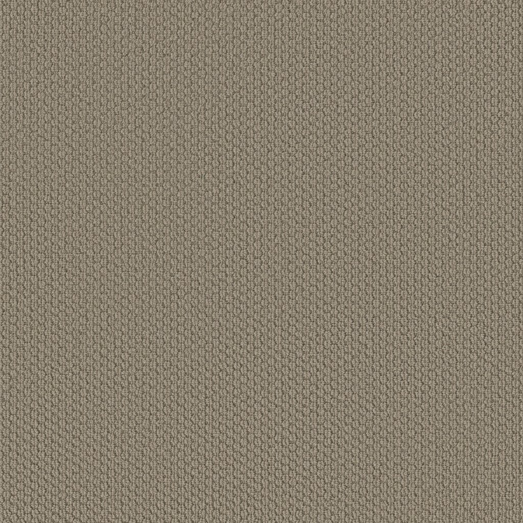 Shaw Floors Cathedral Hill II - Taupe Tone