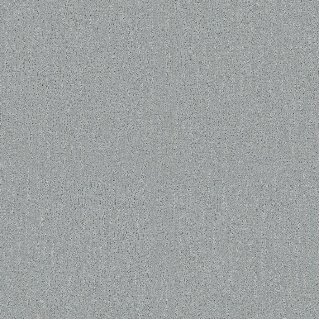 Shaw Floors Endless Memories - Polished Silver