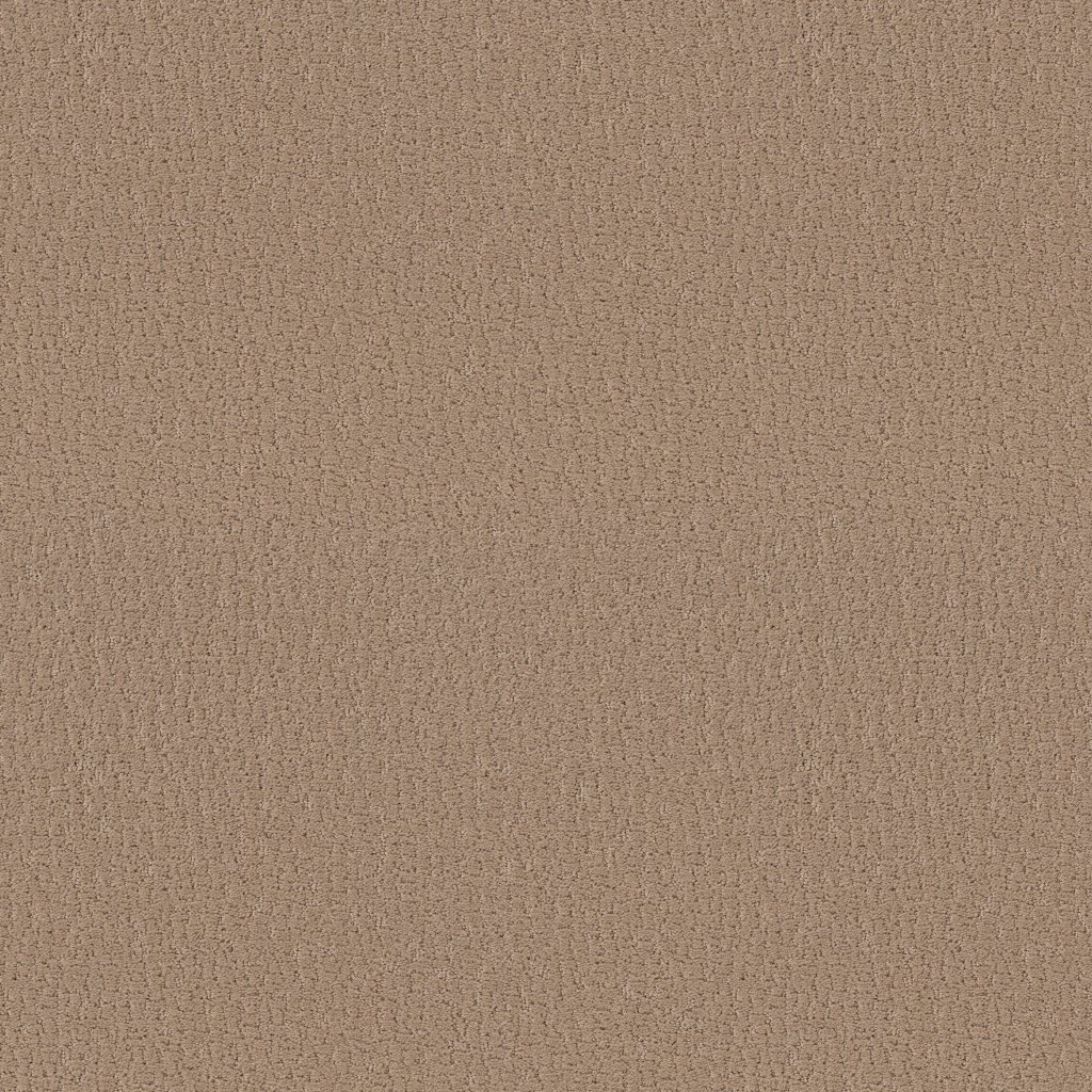Shaw Floors Studio Set - Worn Path