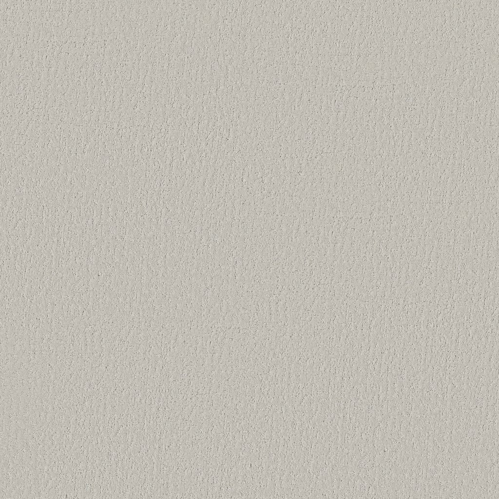 Shaw Floors Crafted Tone - Minimalist