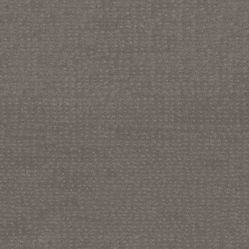 Shaw Floors Chic Nuance - Grey Fox
