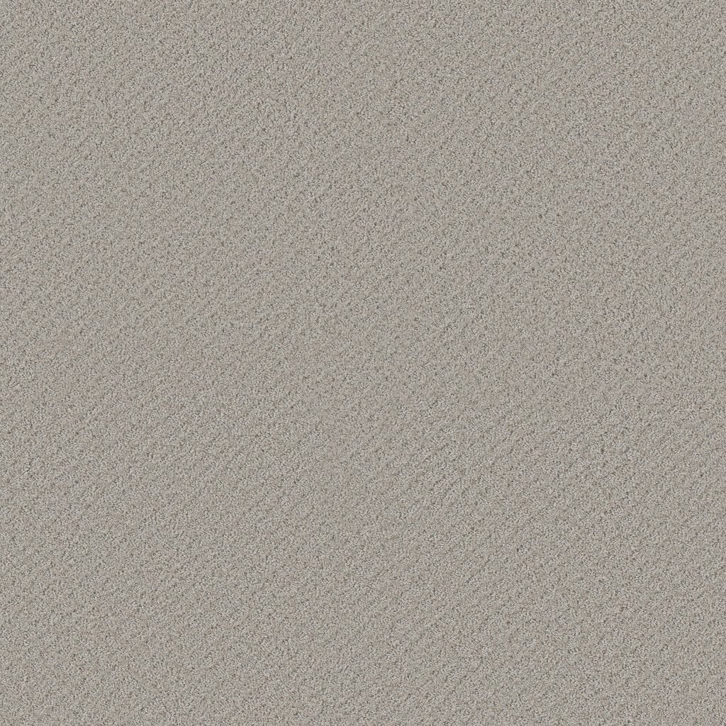 Shaw Floors Chic Shades - Silver Lining
