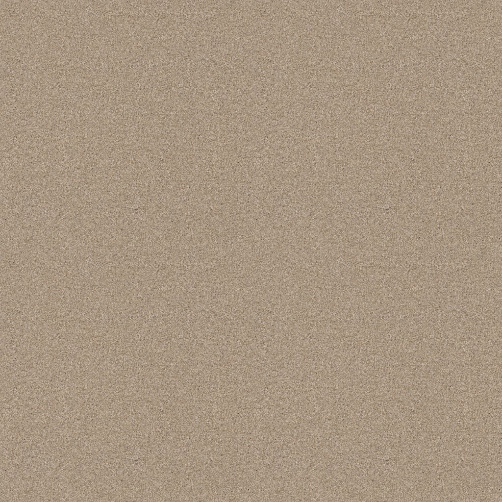 Shaw Floors Tonal Comfort II - Dinner With Friends