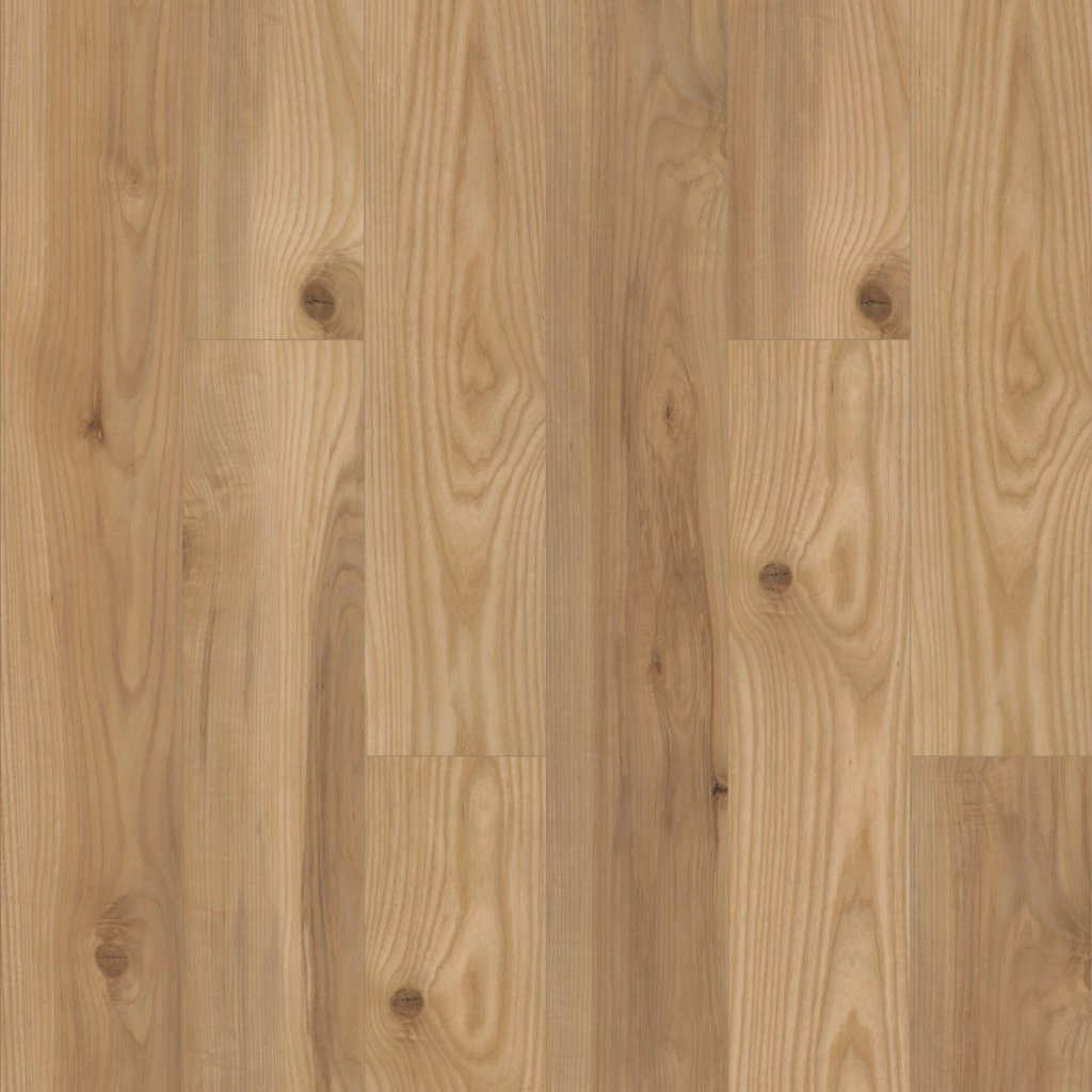 Shaw Floors Paragon HD Plus NB - Mansart