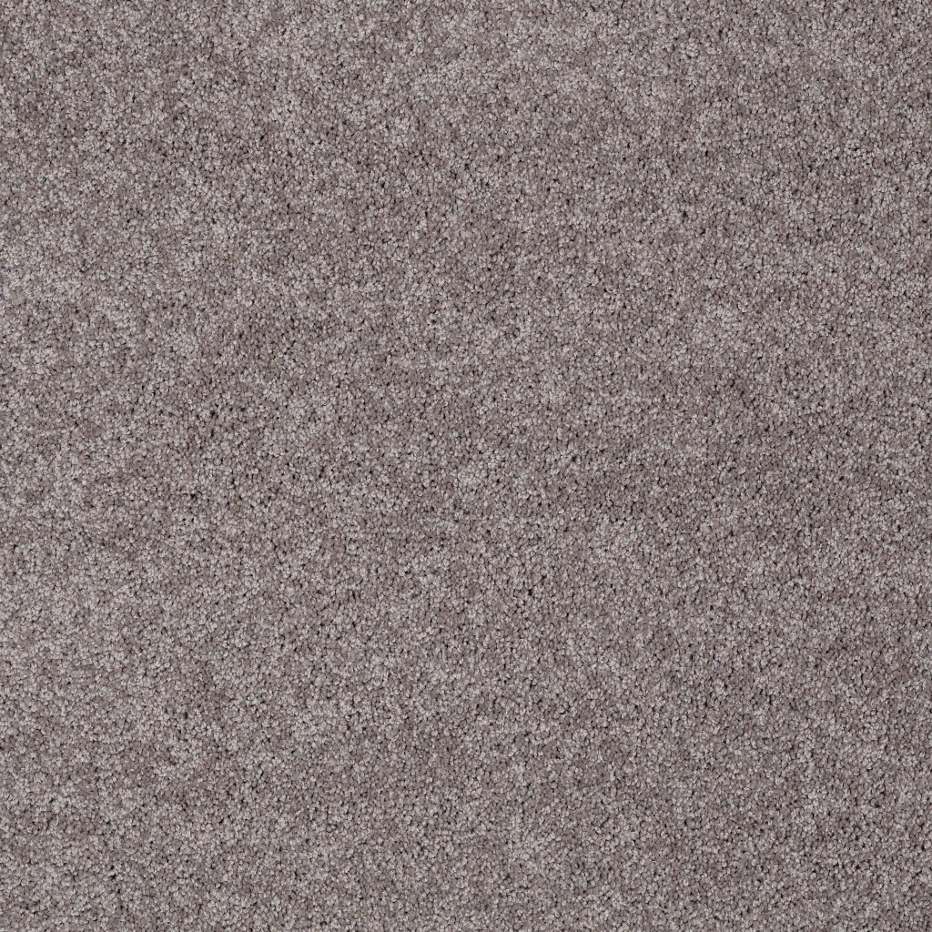 Shaw Floors Inspired By Ii - Sepia