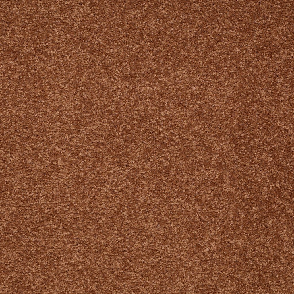 Shaw Floors Timeless Appeal III 15' - Oatmeal