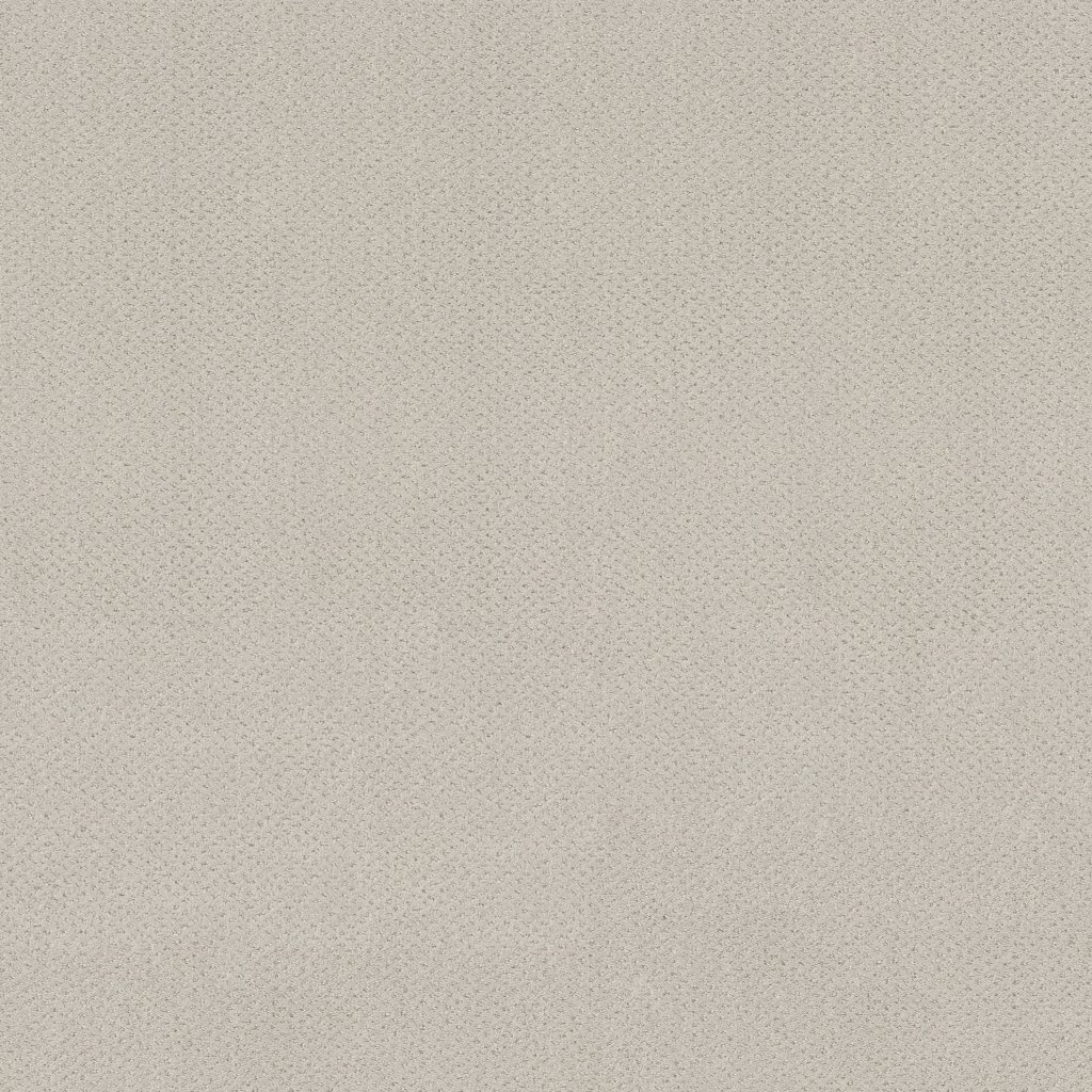 Shaw Floors Mainstay - Winters Dawn