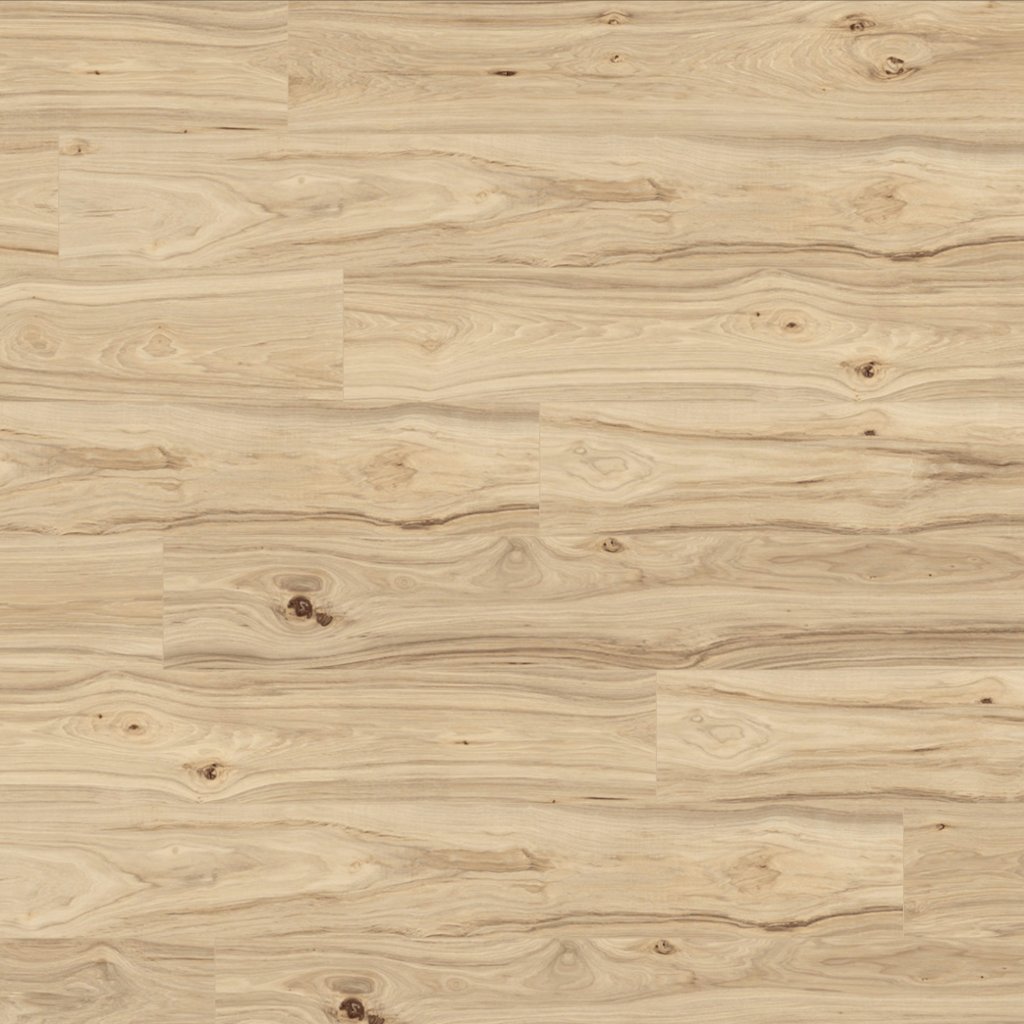 Mohawk Chapman Hill - Appaloosa Hickory