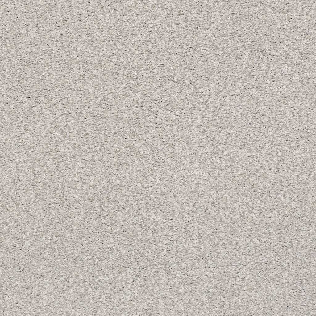 Shaw Floors Tonal Comfort II - Dreamy