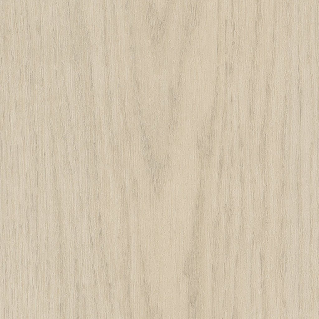 Philadelphia Commercial Willow Oak 12m - Natural Oak