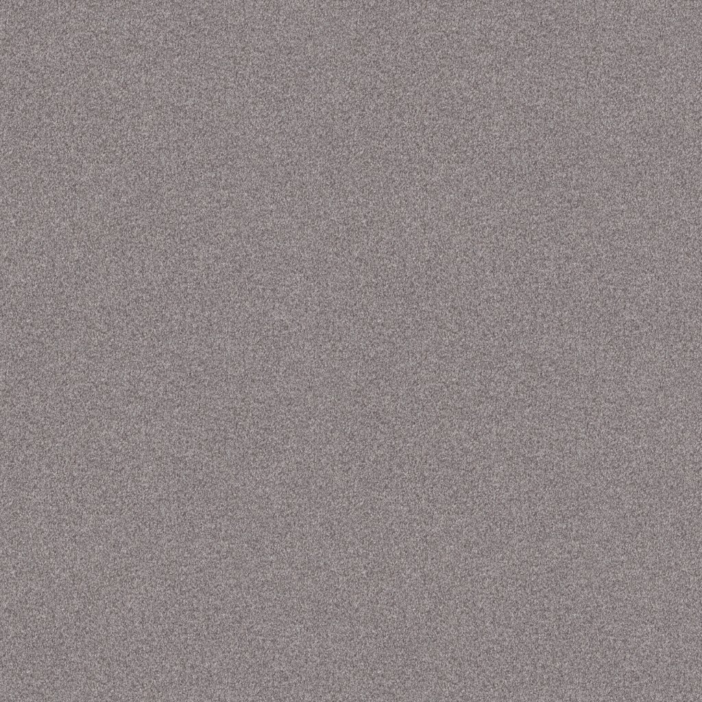 Shaw Floors Tonal Comfort I - Whisper