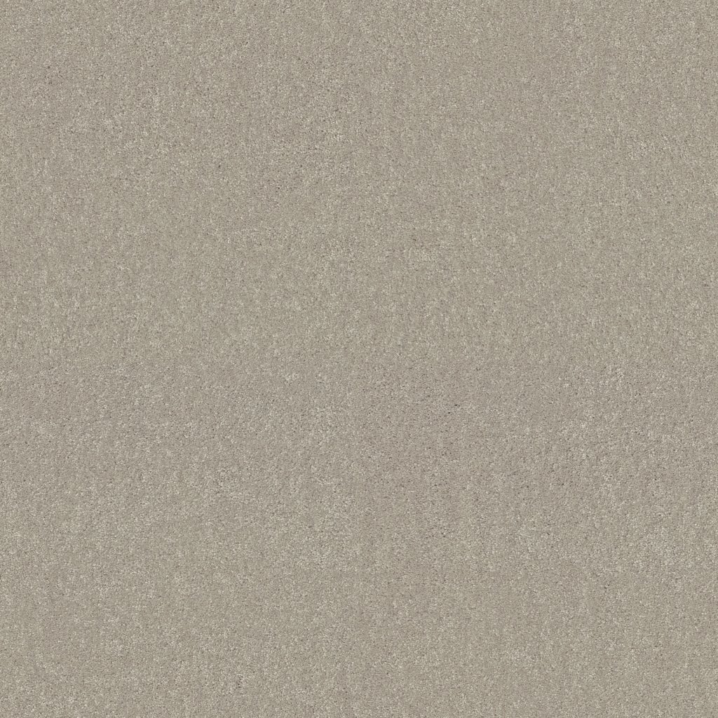 Shaw Floors What's Up - Mist
