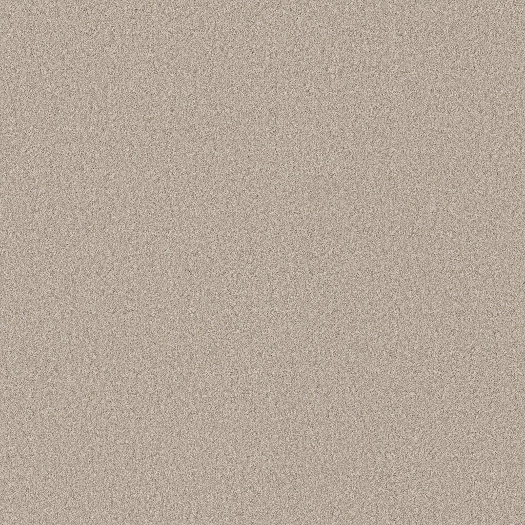 Shaw Floors Pure Affection Tonal - Beige Mist