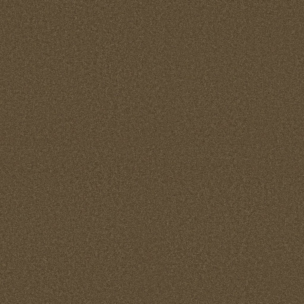 Shaw Floors Shingle Creek IV 15' - Wooden Box