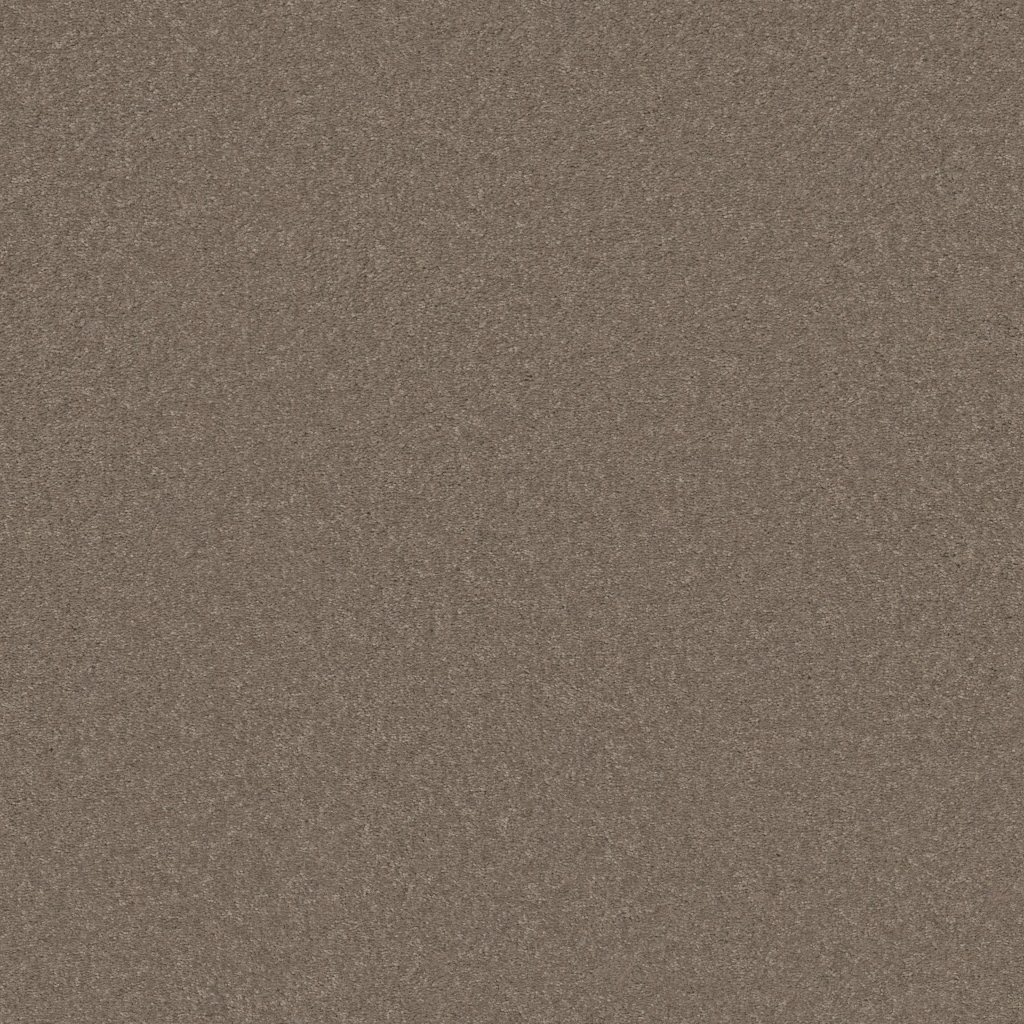Shaw Floors Well Played I 15' - Mocha Frost