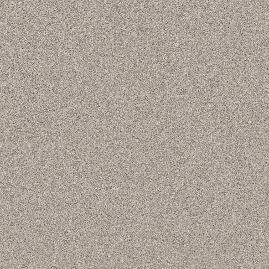 Shaw Floors Wonderland III 12' - Silence