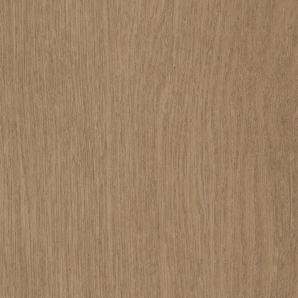 Philadelphia Commercial Willow Oak 20m - Butternut Oak