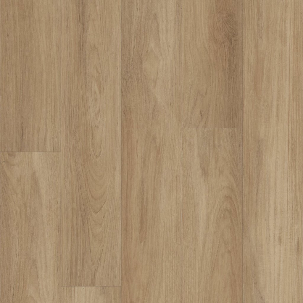Shaw Floors DISTINCTION PLUS - Hazelnut Brown