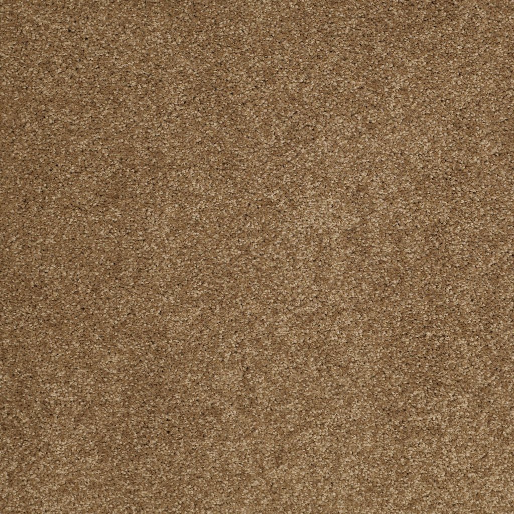 Shaw Floors Salina I - Bronze Glow