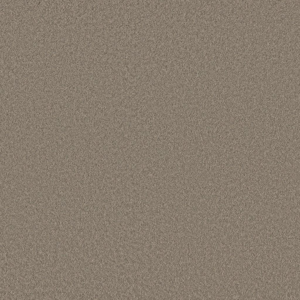 Shaw Floors Velvet Touch I - Plaza Taupe