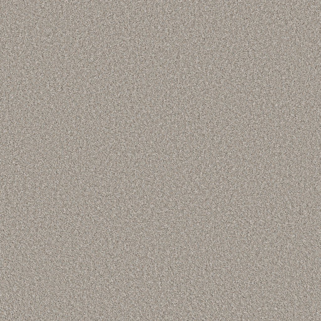 Shaw Floors Elevated I - Silver Mist