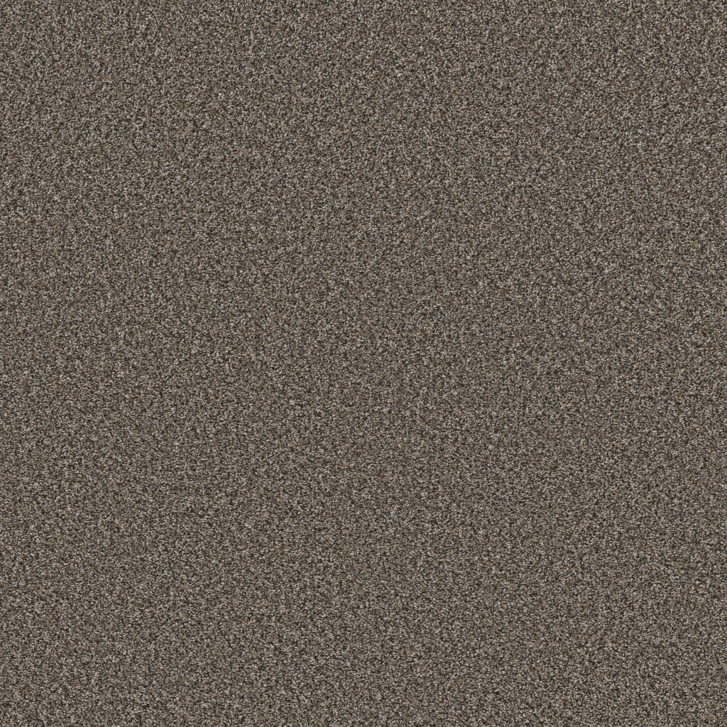 Shaw Floors Soft Radiance - Tree Bark