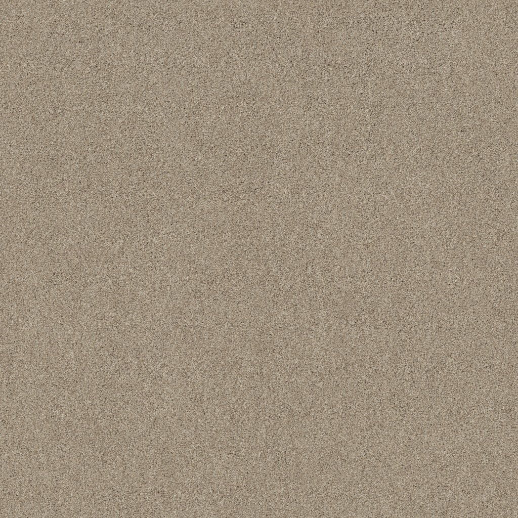 Shaw Floors What's Up - Cork Board