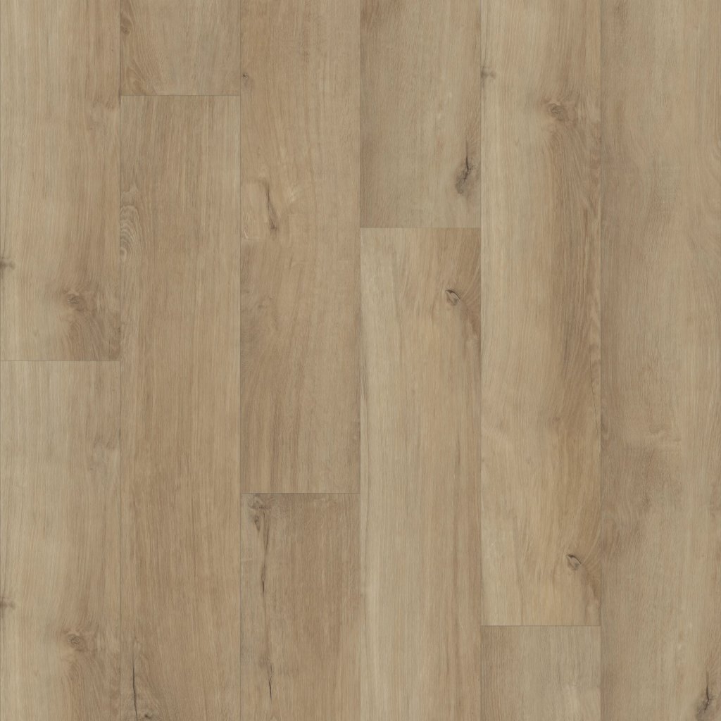 Shaw Floors Paladin Plus - Marina
