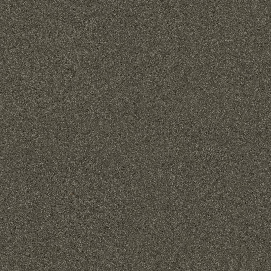 Shaw Floors YOU KNOW IT - Stone Hearth