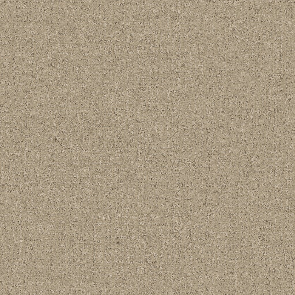 Shaw Floors Studio Plaza - Twine