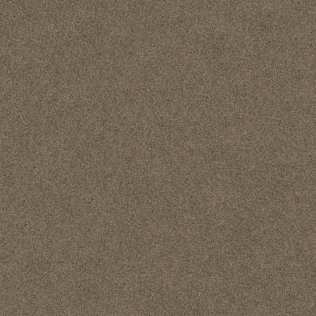 Shaw Floors Salina I - Simply Taupe