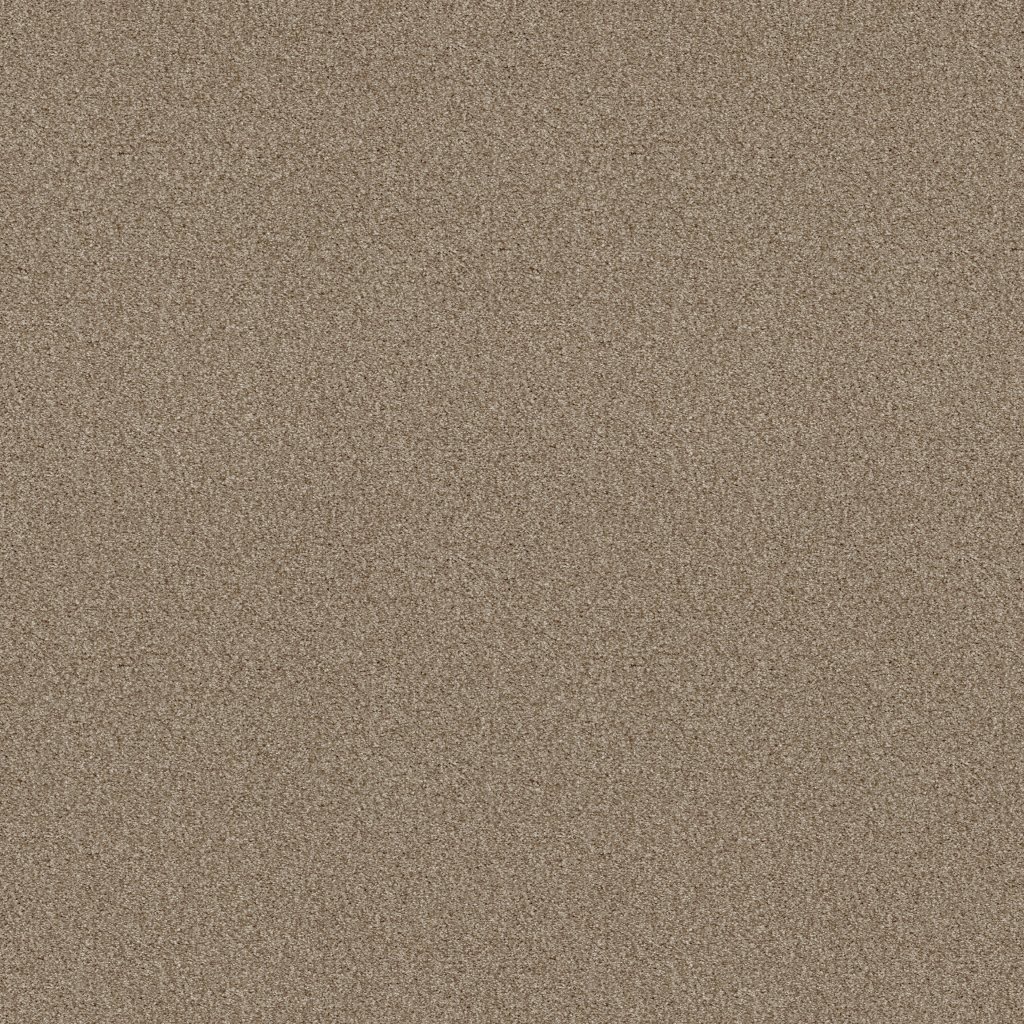 Shaw Floors Tonal Comfort Blue - Honey Tea