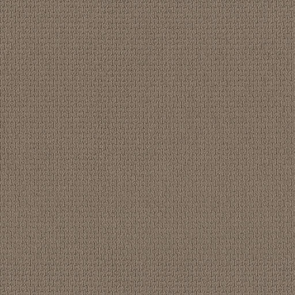 Shaw Floors Space Line - Sable