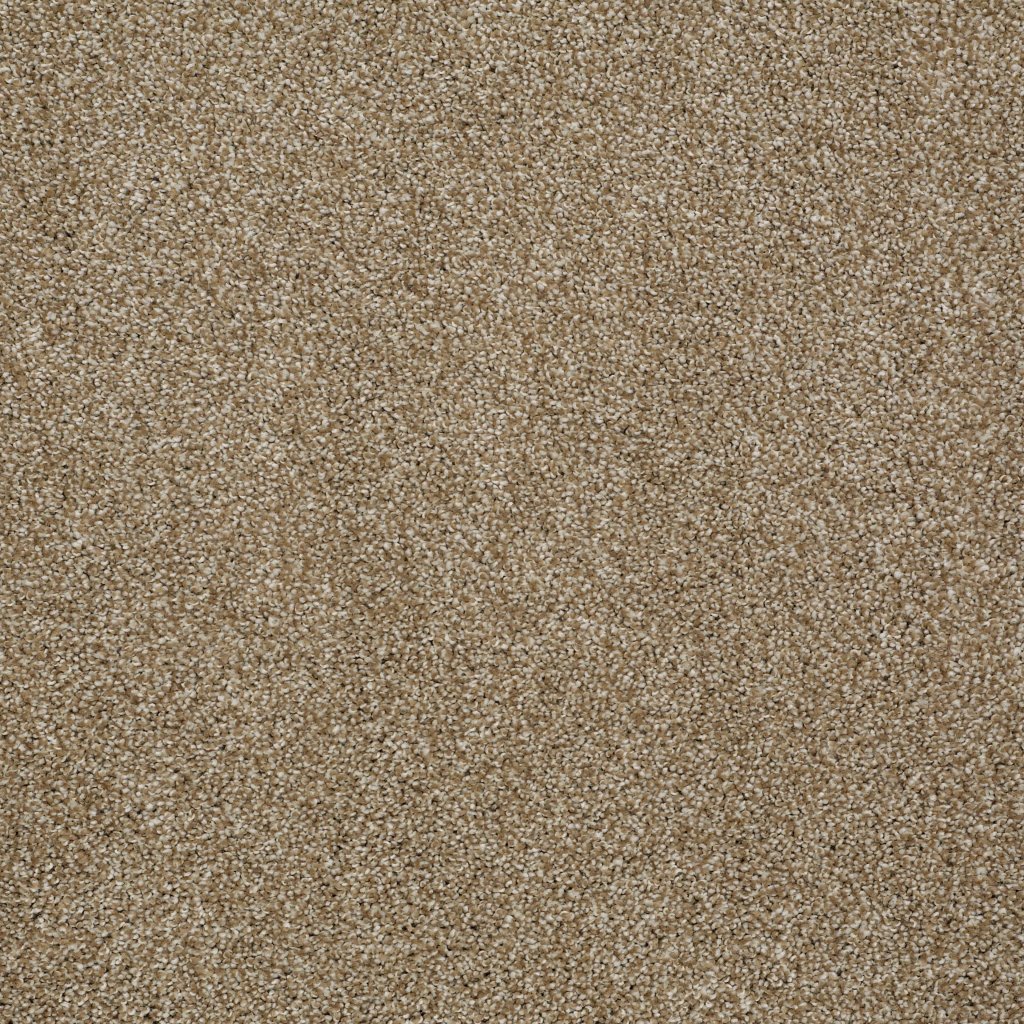 Shaw Floors Always Ready II - Warmth