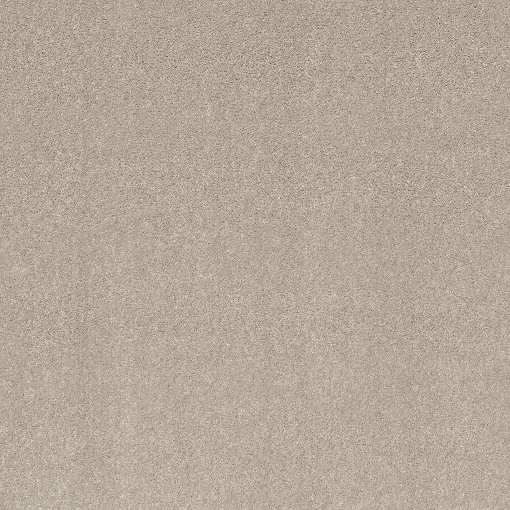 Shaw Floors Smooth Talk II - Bare Mineral