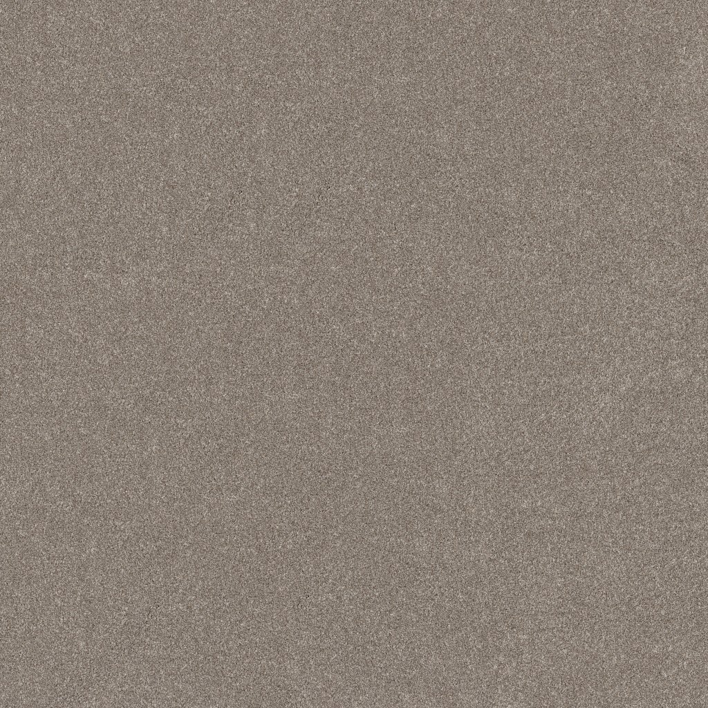 Shaw Floors New Memories T - Mocha