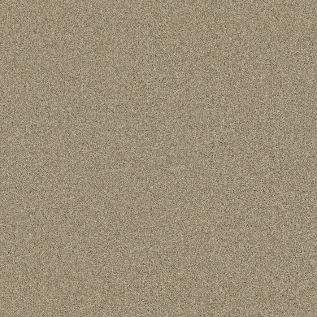 Shaw Floors Around The House III - Stucco