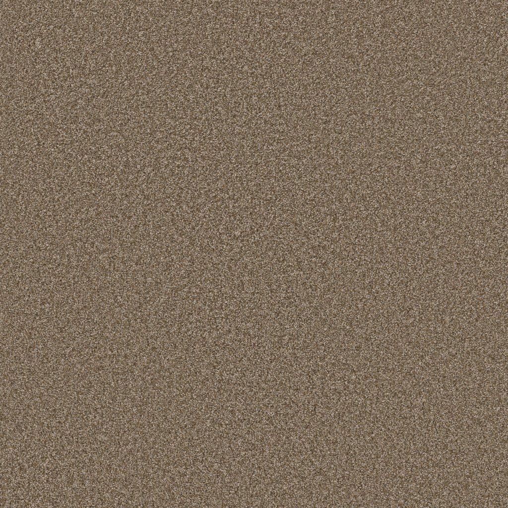 Shaw Floors Affirmation II - Spanish Brown