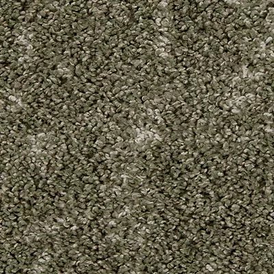 Mohawk Bark And Roll - Jade Veil