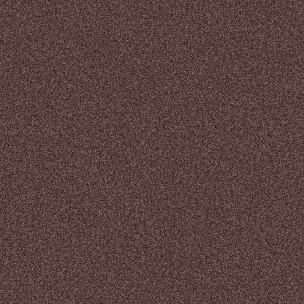 Shaw Floors Ocean Pines 12' - Amethyst Sky