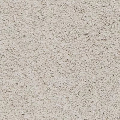 Mohawk Canine Comfort - Canvas Cloth