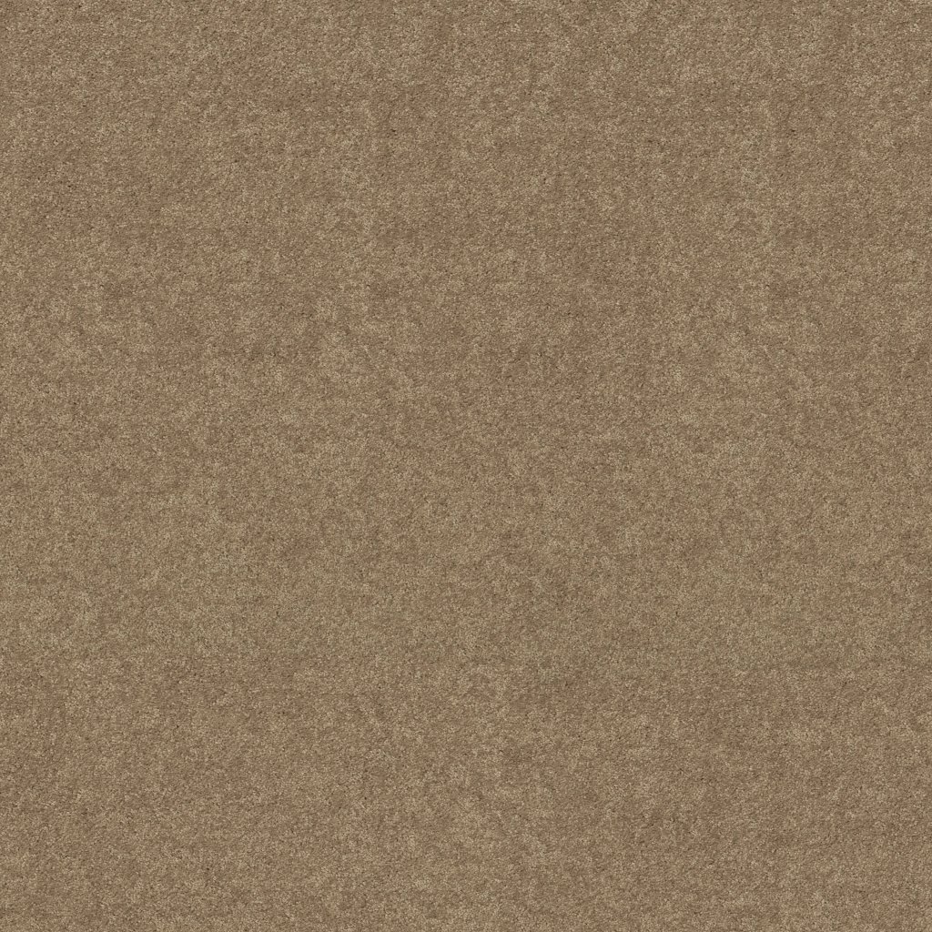 Shaw Floors Newbern Classic 15' - Fossil