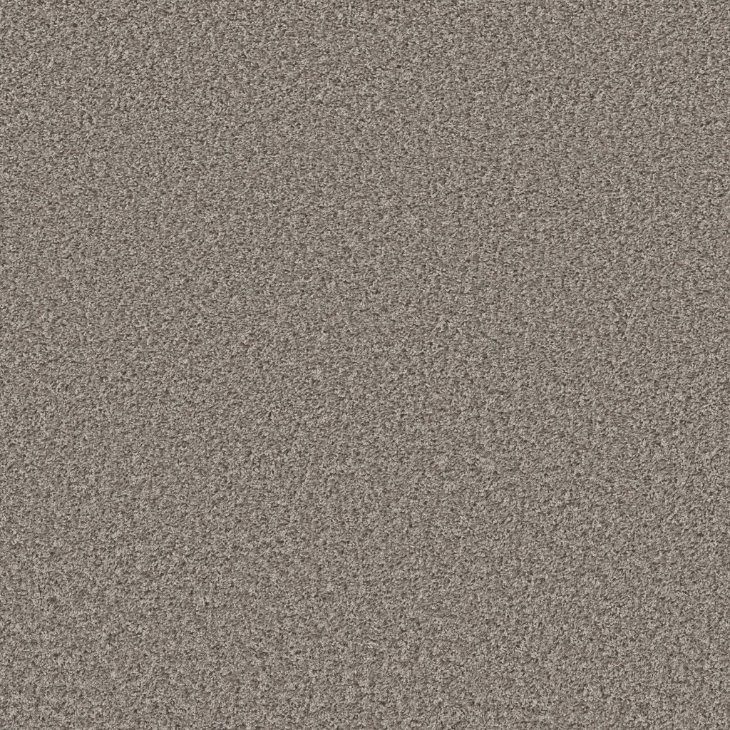 Shaw Floors Color Flair - Dolphin