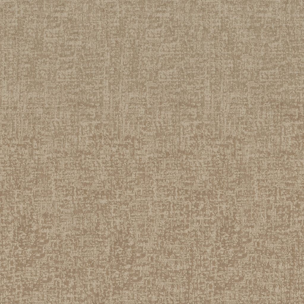 Shaw Floors Fine Structure - Natural Beauty