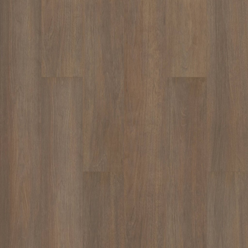 Shaw Floors Paragon HD Plus NB - Gable