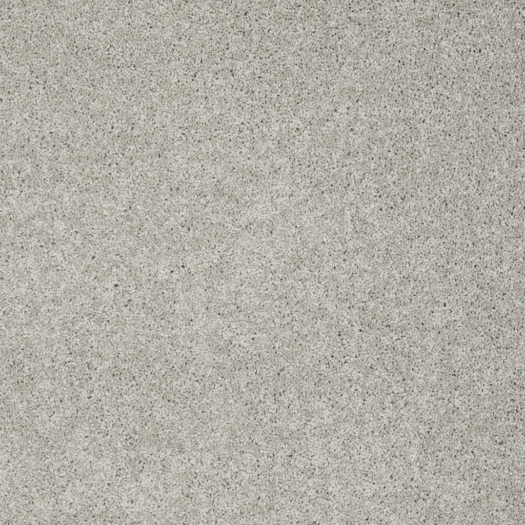 Shaw Floors Inspired By Ii - Ash
