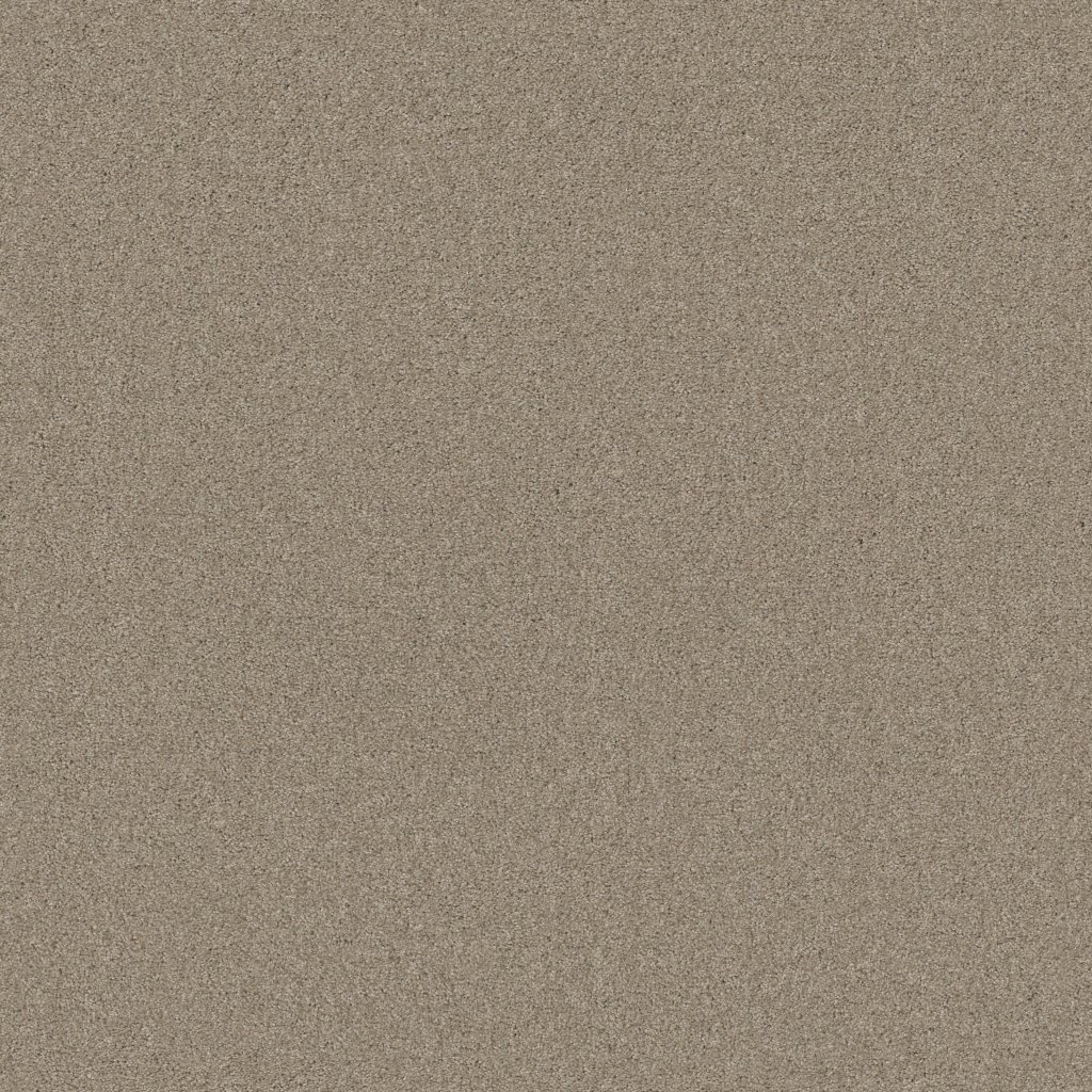 Shaw Floors What's Up - French Canvas