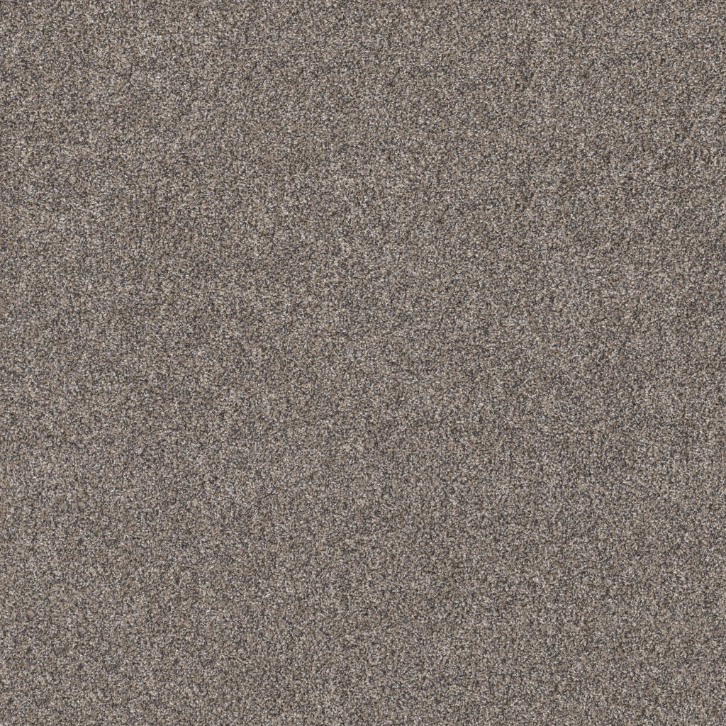 Shaw Floors Shake It Up (A) - Burnt Ash